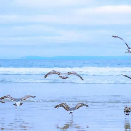 By Dutch Dunes With Balcony Views * יוליאנאדורפ