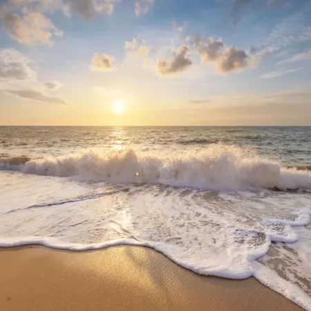 By Dutch Dunes With Balcony Views דירה יוליאנאדורפ