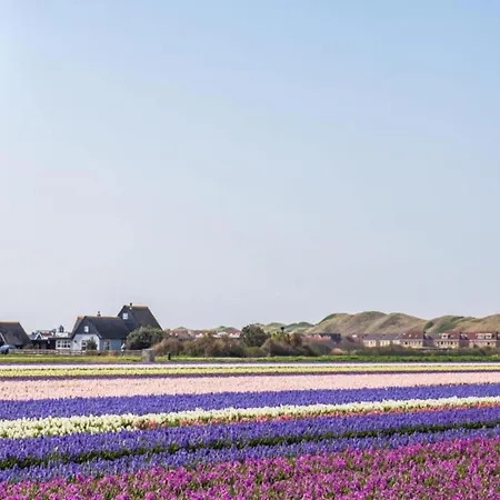 By Dutch Dunes With Balcony Views * יוליאנאדורפ