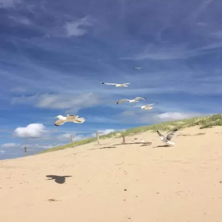 By Dutch Dunes With Balcony Views Julianadorp